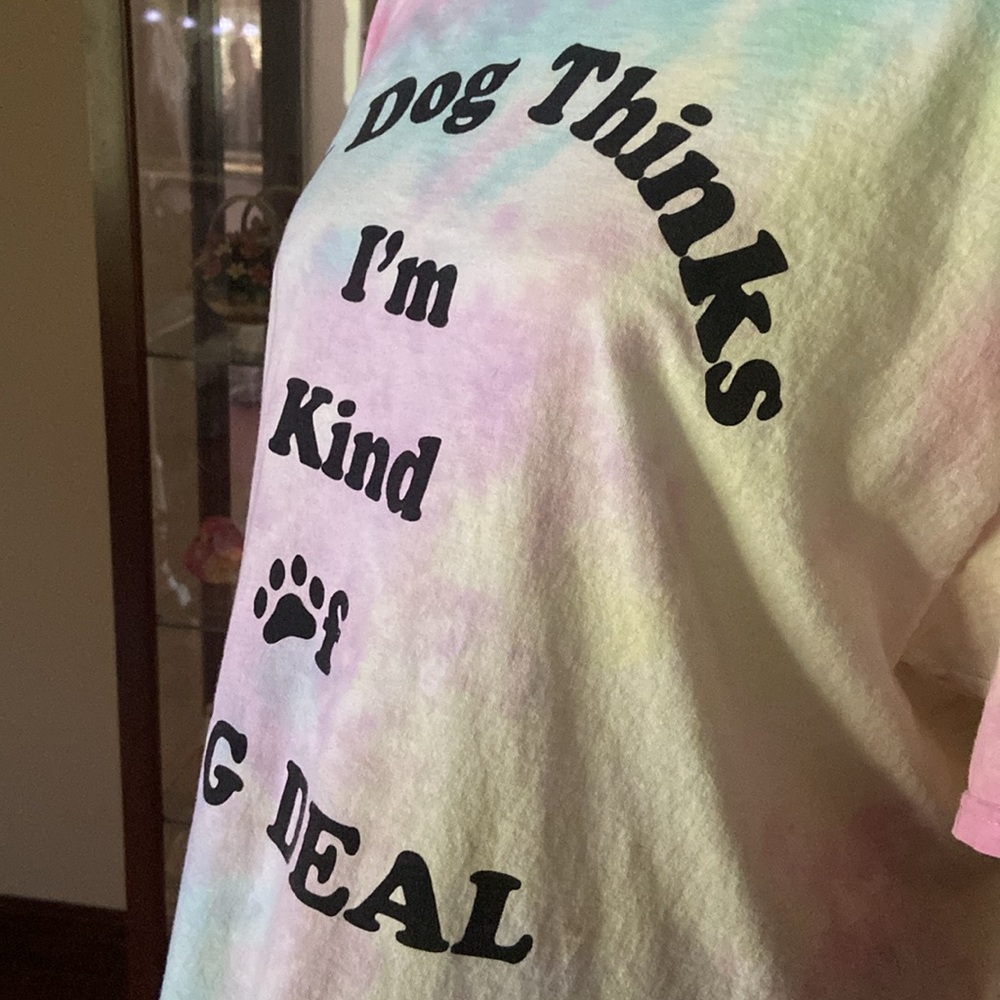 Size Large tie-dyed short sleeve t-shirt. My dog thinks I’m a big deal. Perfect - Picture 3 of 5